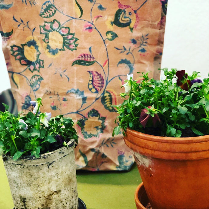 Bivaxpåse till förvaring av blomlökar?